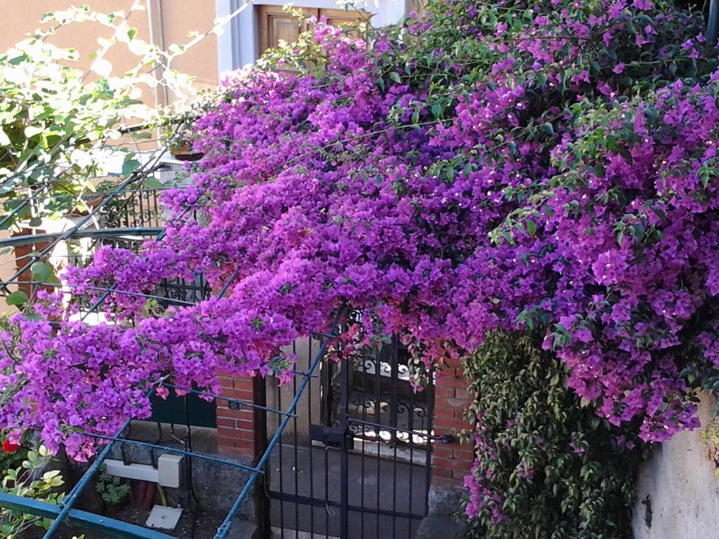 Casa Bouganville La Spezia Exteriér fotografie