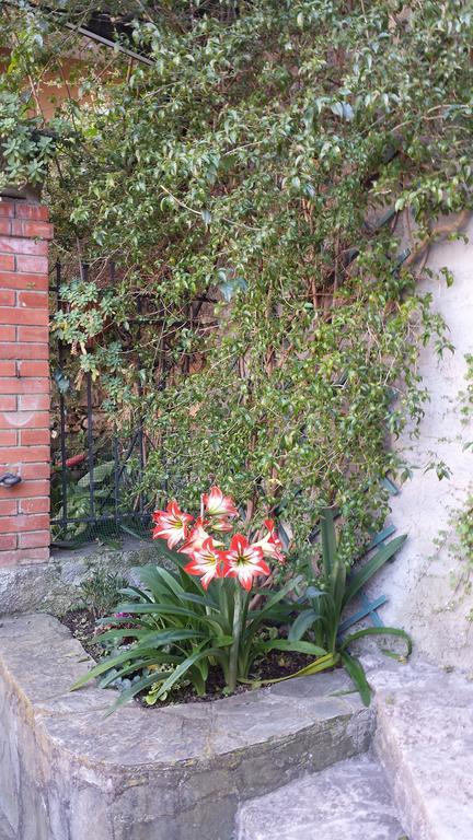 Casa Bouganville La Spezia Exteriér fotografie
